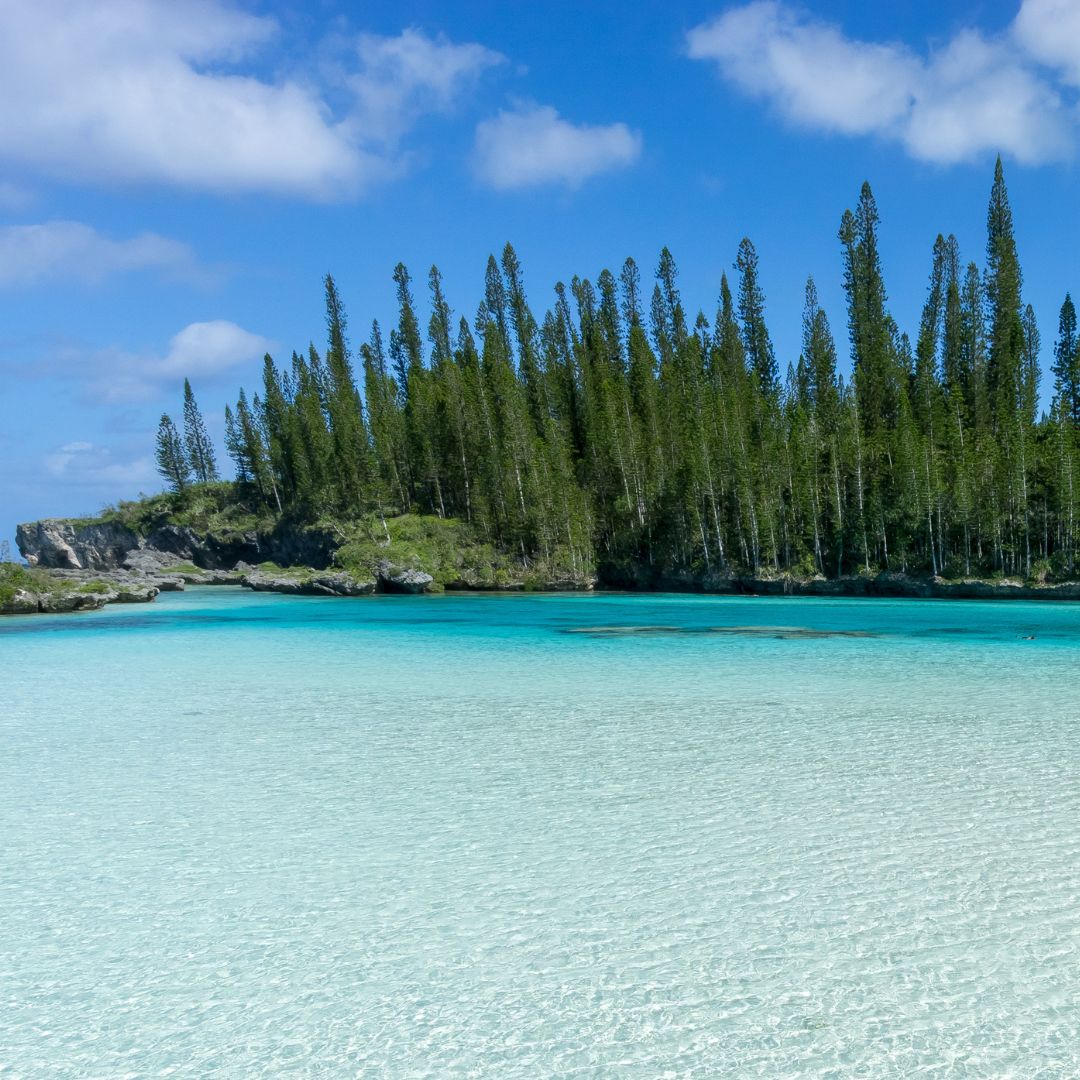 Environnement et nature préservés